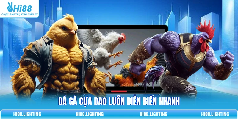 Đá Gà Cựa Dao - Đặc Điểm Của Loại Hình Giải Trí Hấp Dẫn 3 Đá gà cựa dao luôn diễn biến nhanh